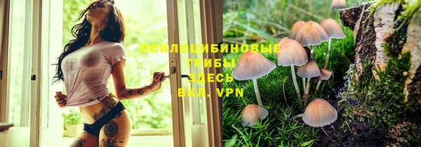 прущая мука Армянск