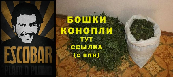 spice Аркадак