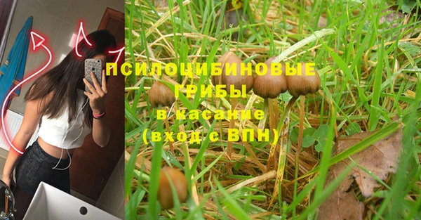 прущая мука Армянск