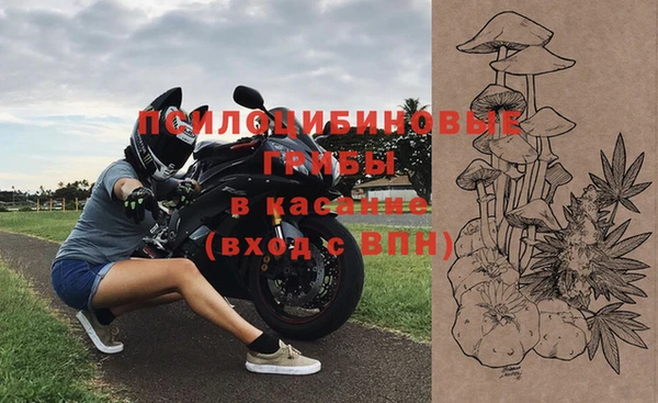 spice Аркадак