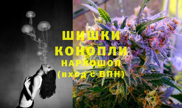spice Аркадак
