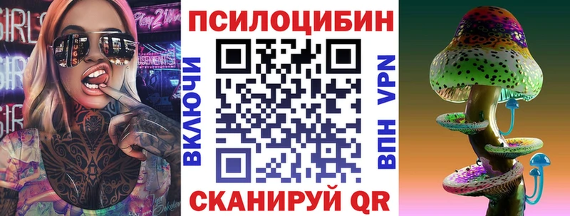 Галлюциногенные грибы Psilocybe Лысково
