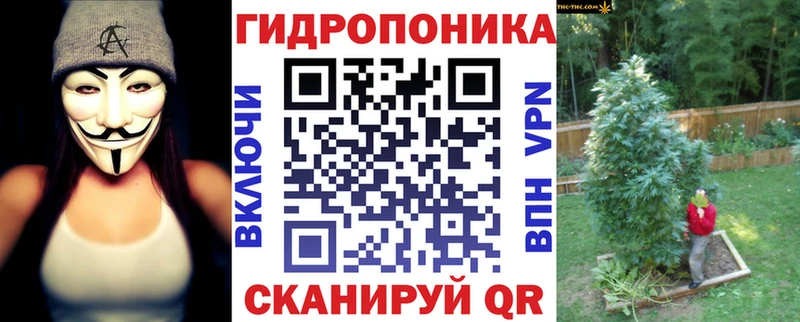 Бошки Шишки VHQ  Лысково 